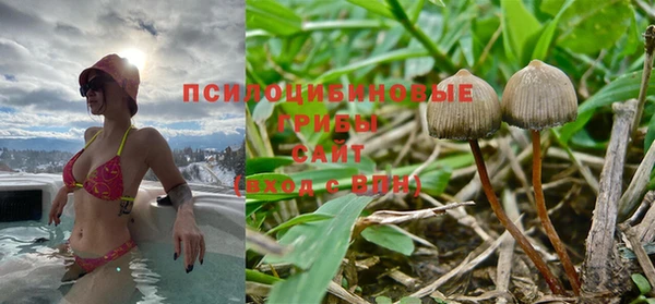 хмурый Нягань