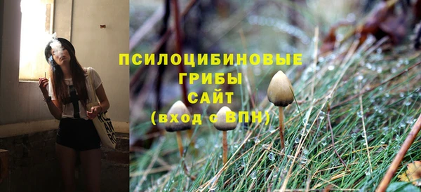 дурь Новокубанск