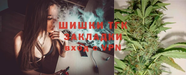 метадон Няндома
