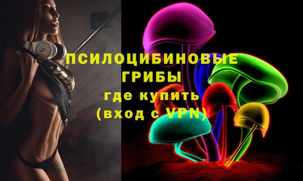 амф Новозыбков