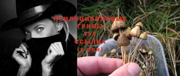 хмурый Нягань